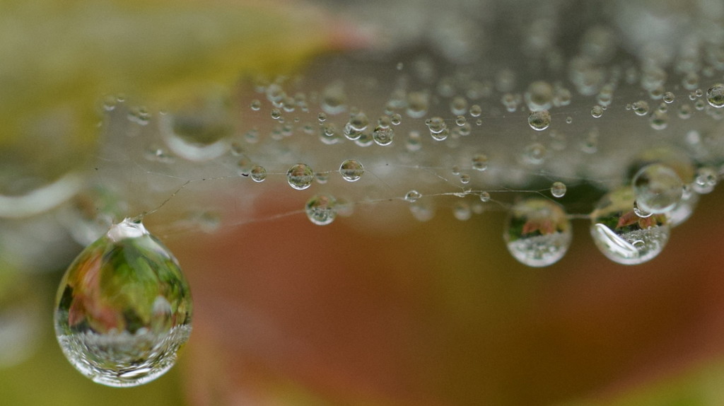 宇宙の中のちっぽけな私。