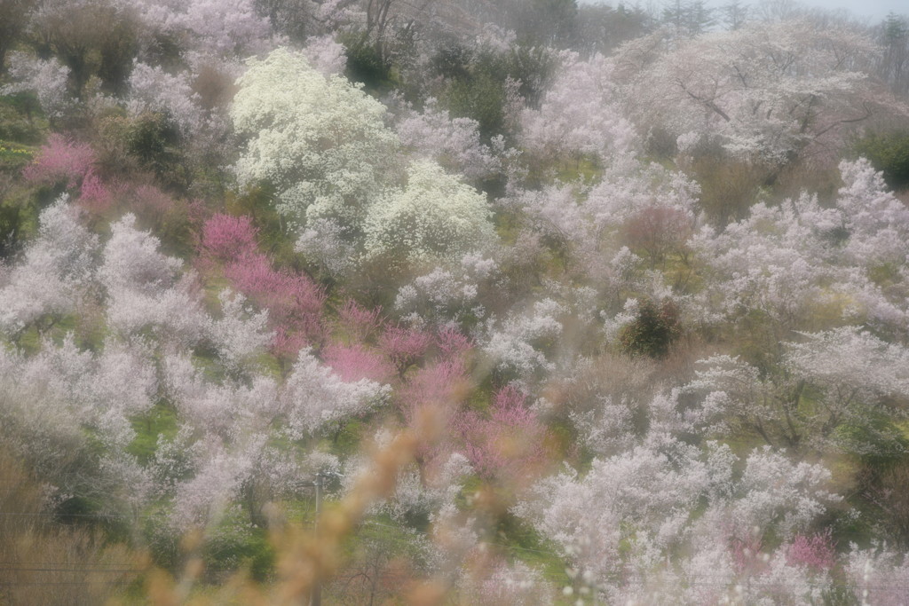 ふわふわの気持ち♪