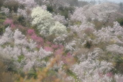 ふわふわの気持ち♪
