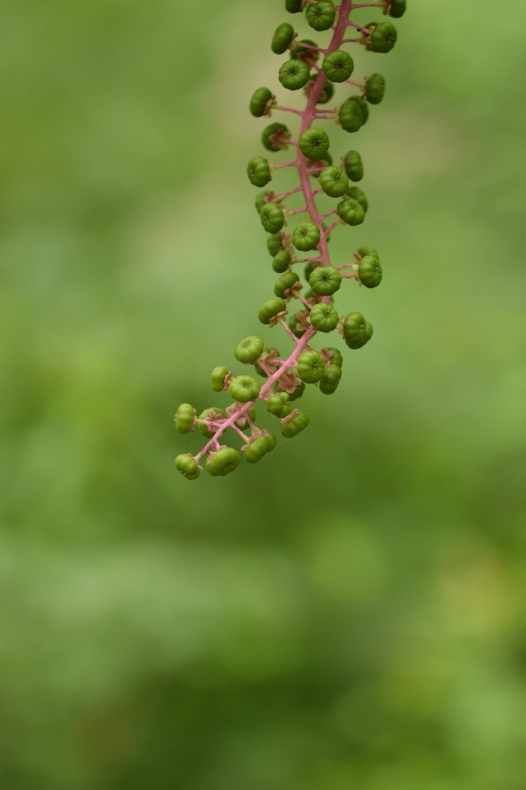 次はどっちに行く〜？