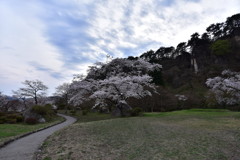 静かな午後に…。