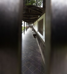 覗き見だけ♪
