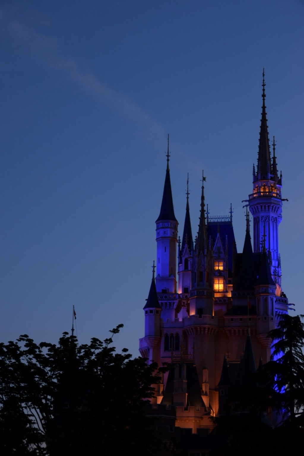 夢の国はしっとり暮れて。