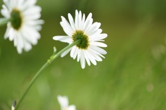 振り向かずに、前へ。