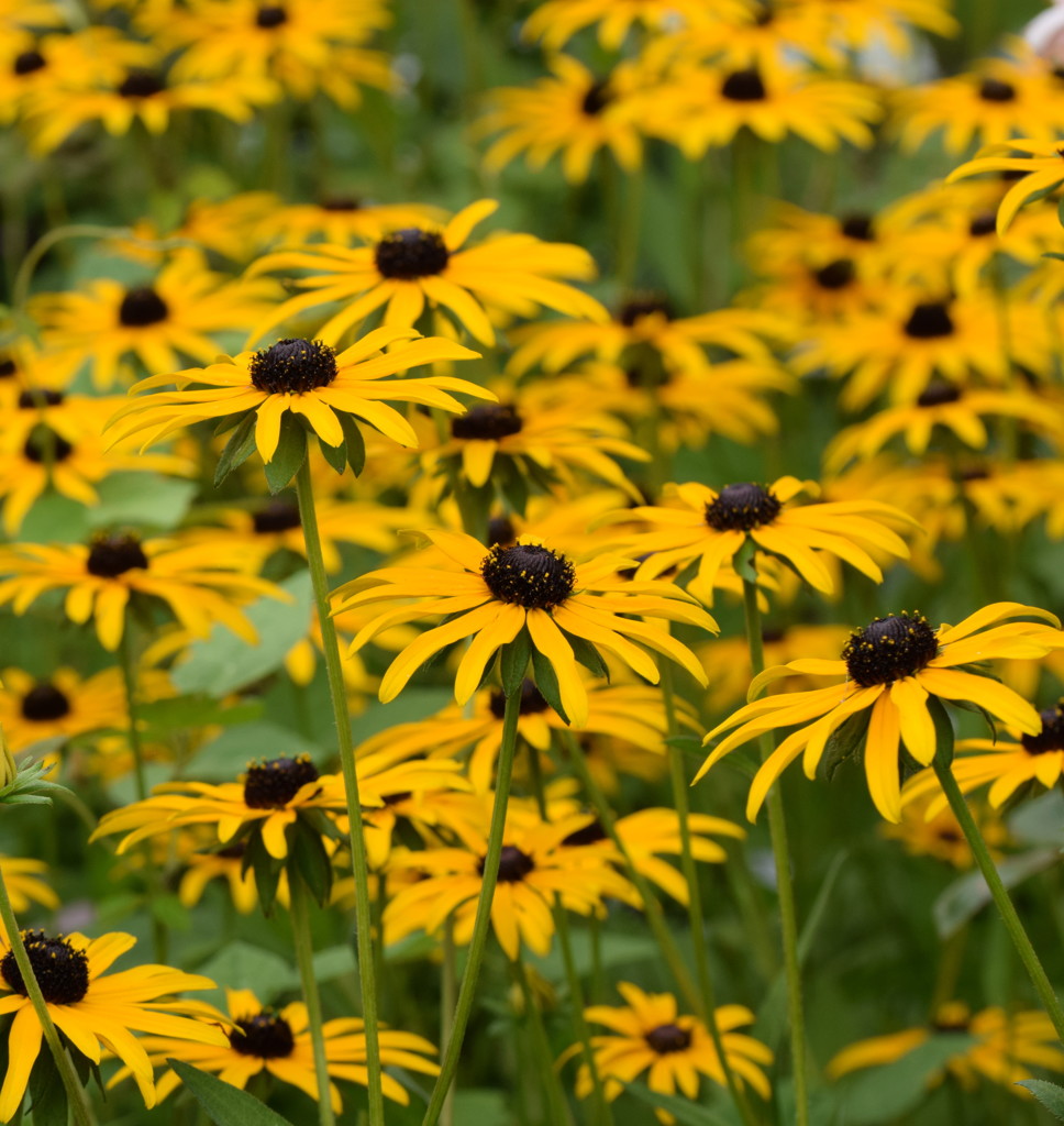 夏をもう少し楽しもう。