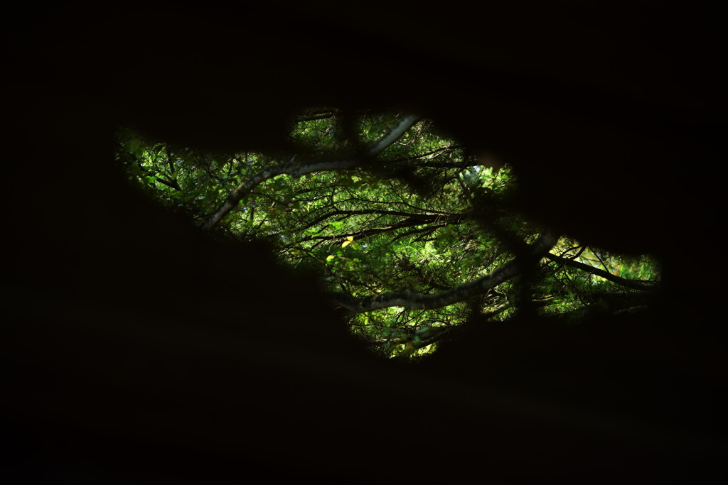 ワタシ　ハ　ツカマラナイ…。