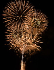 夜空に咲く火の花