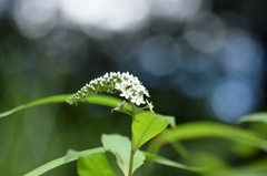 素敵な夜の予感。
