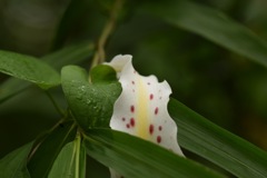 カールキープも疲れるのよね。ちょっと休憩♪