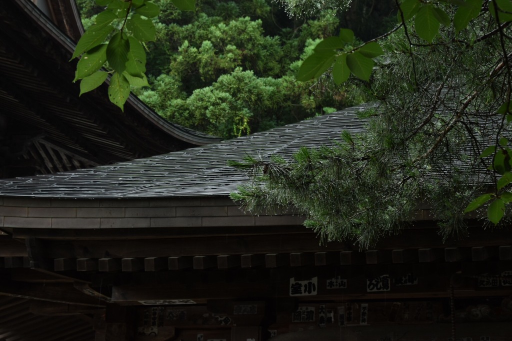 雨の日はしめやかに。
