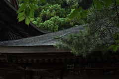 雨の日はしめやかに。