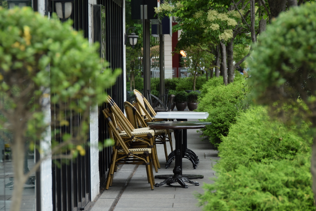 ランチタイム。