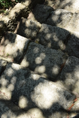 夏、影落とす。