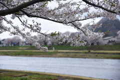 角館