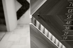 渋谷で、夜　２