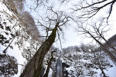 おおきい心。