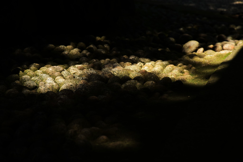 ヒカリが落ちる…。