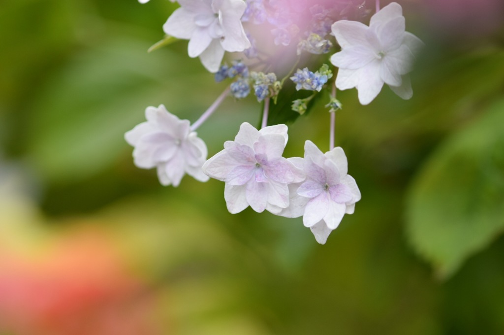 なんだか向こうは楽しそうよ。