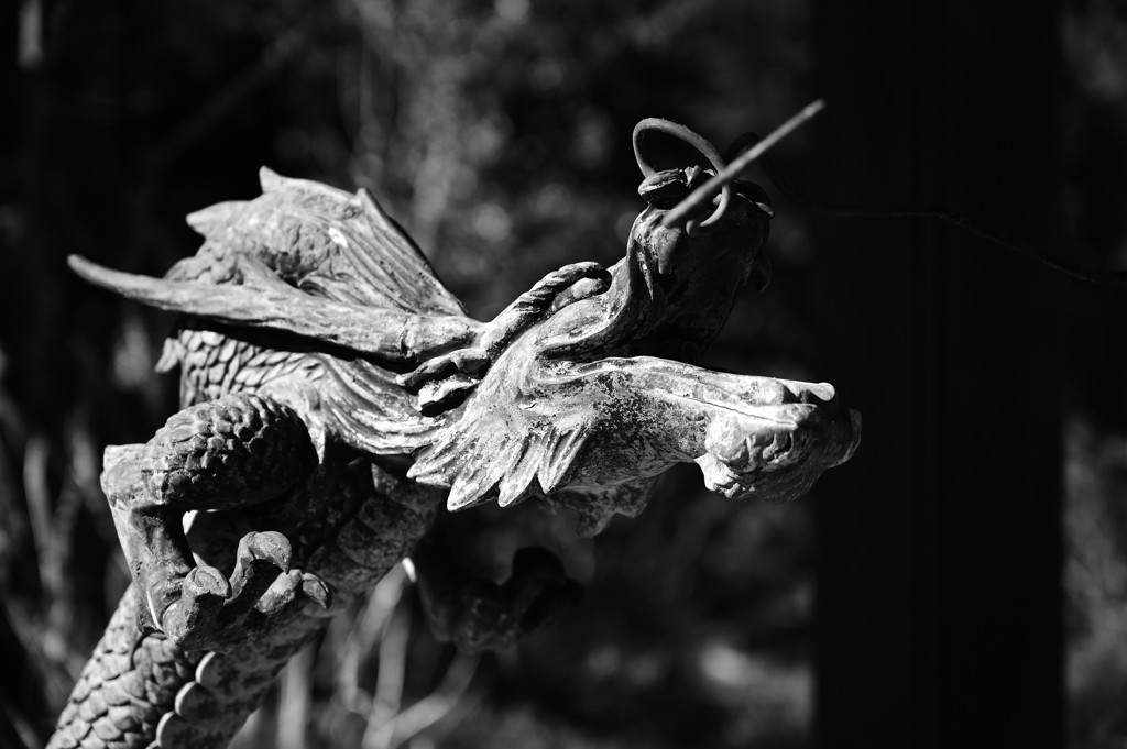 変わらずにいることの錯覚。