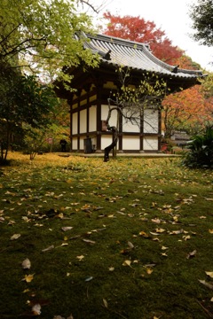 三渓園