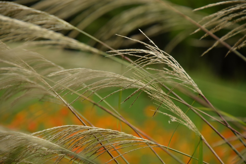 君の心に優しい風を送る僕でありたい。