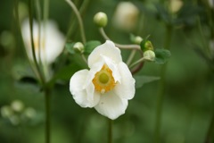 ね、聞いて♪ナイショなんだけど…。