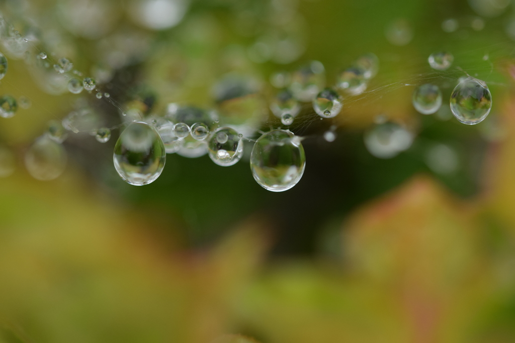 人生は綱渡り。