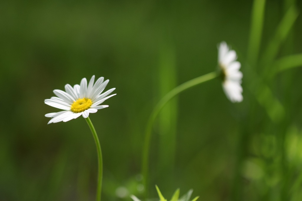 あら!そっぽ向いちゃった!