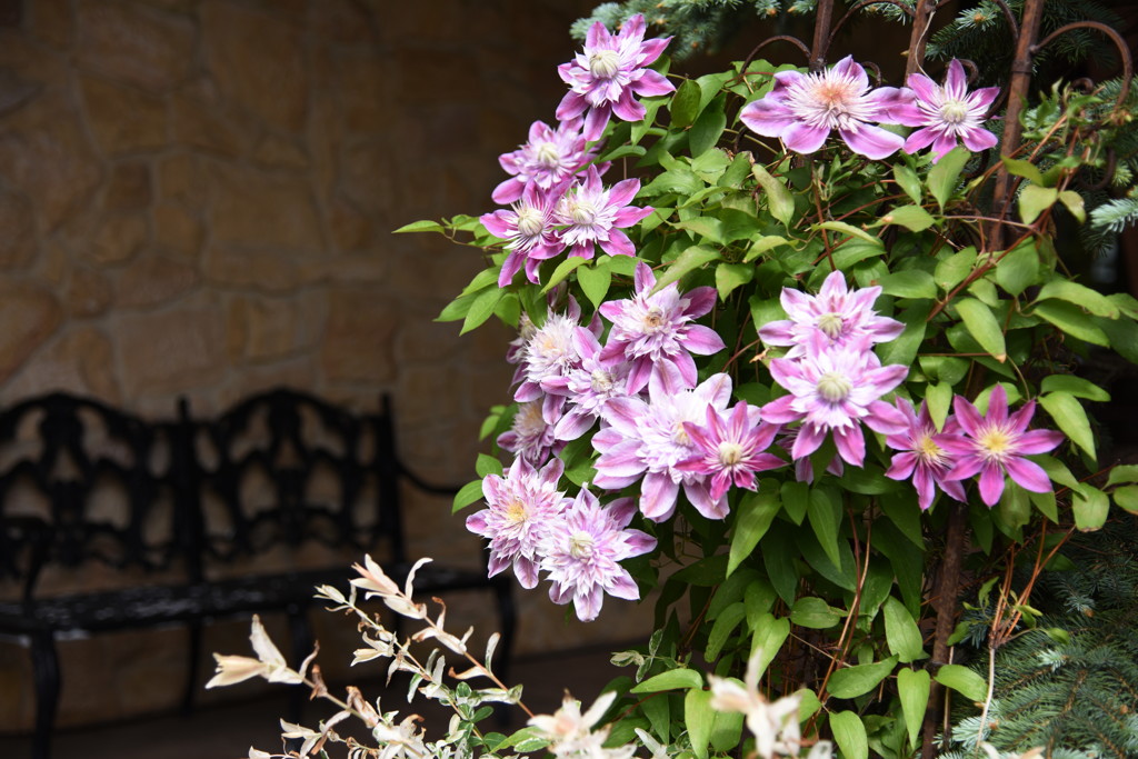 貴方のための椅子…。