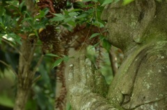 幸多かれと祈る。