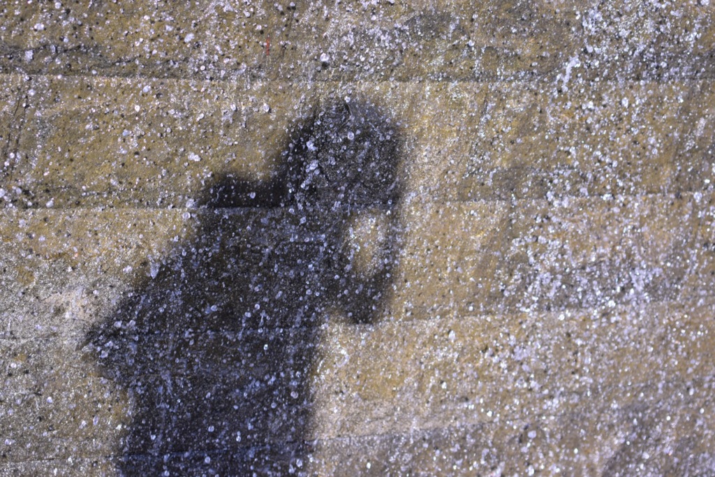 水もしたたる…私。