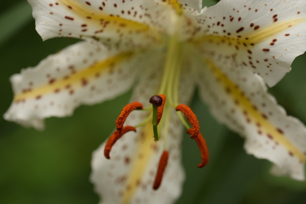 楽しくって浮き足立っちゃう♪