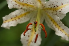 楽しくって浮き足立っちゃう♪