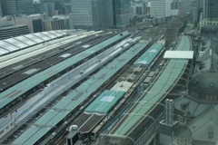 ヒトは何人いるんだろう…。