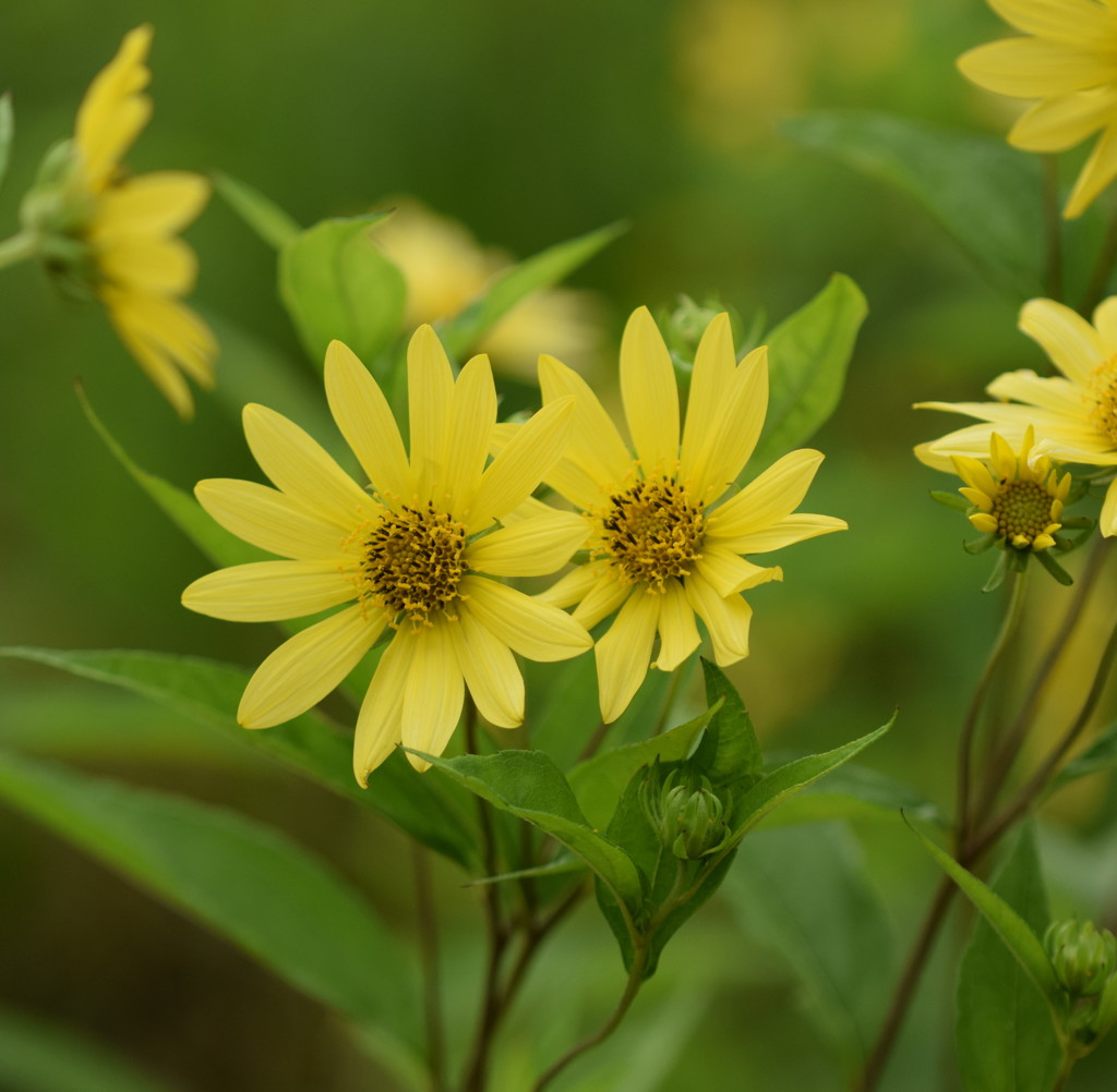 私たち、きっとお似合い。