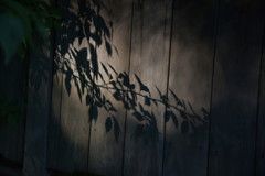 立ち止まり…。