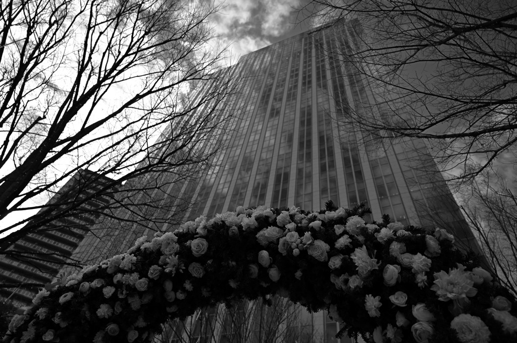 寒空とアーチ♪