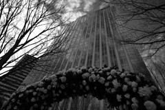 寒空とアーチ♪