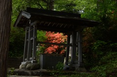 蔵王温泉 薬師神社。