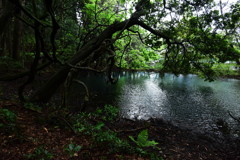 丸池様