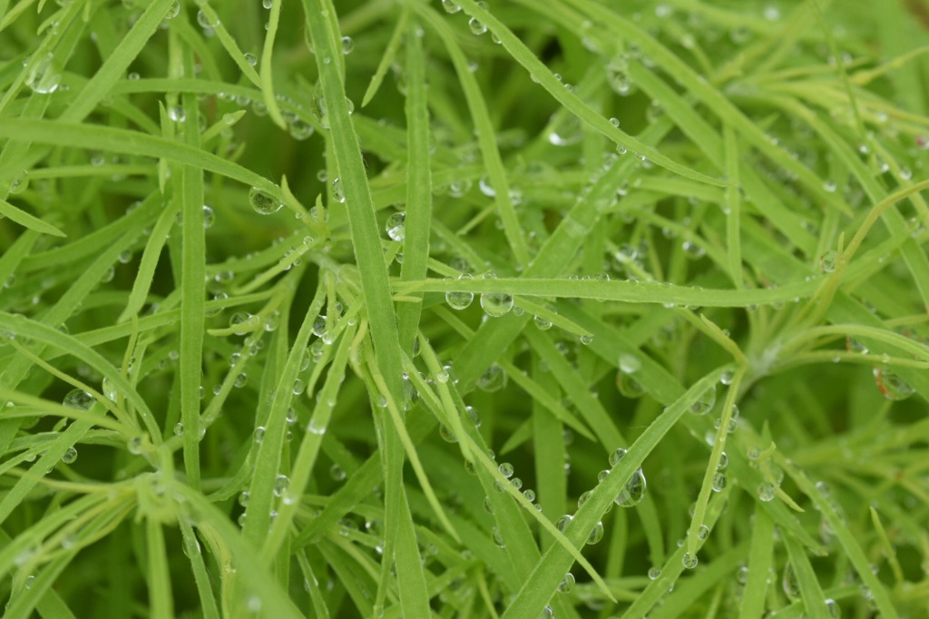 怖いもの見たさで入ってみる〜？