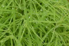 怖いもの見たさで入ってみる〜？