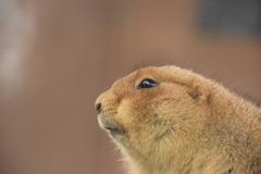 今年もワタシ、モテたわ～♪