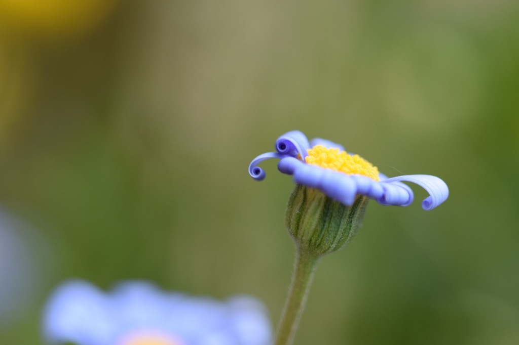 お姉ちゃんの真似して…。デートじゃないけどね。