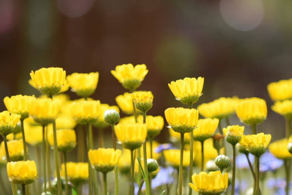 おしゃべりがとまらない。