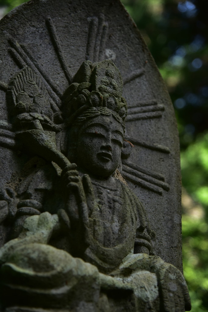 ずっと居てほしい。山寺。