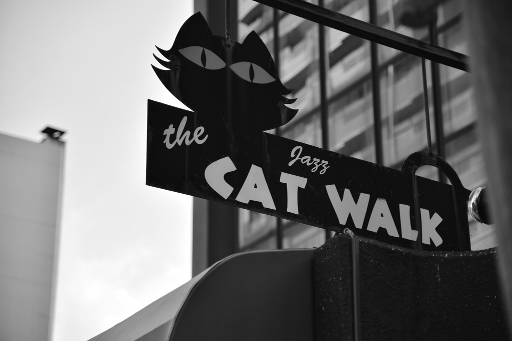 また、行こう♪