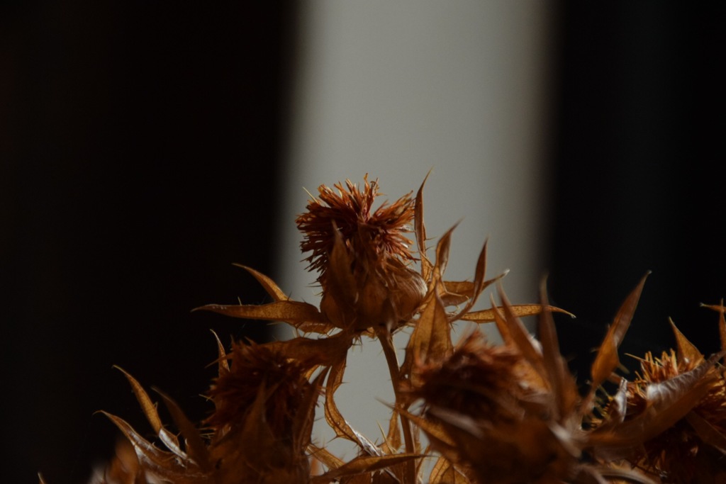 紅花、 最上川、都、 栄えた昔を偲ぶ。