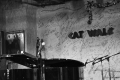 今度は音楽を聴きに…♪