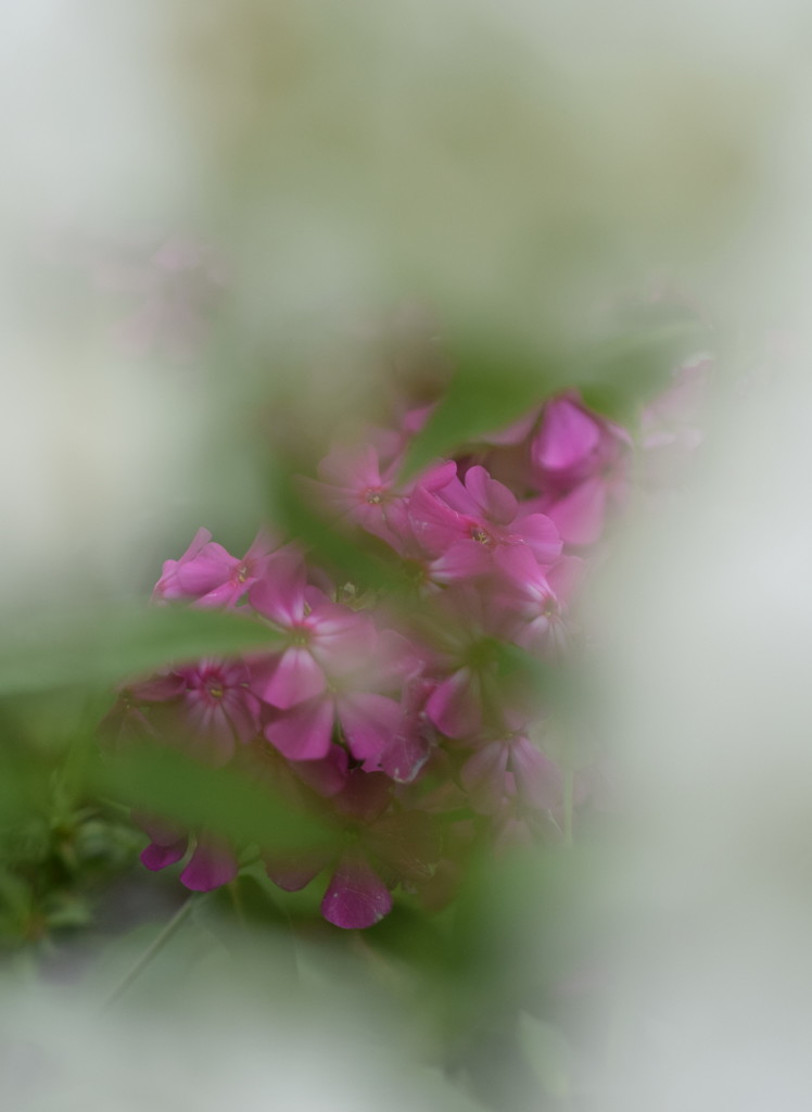 早く私をみつけて。